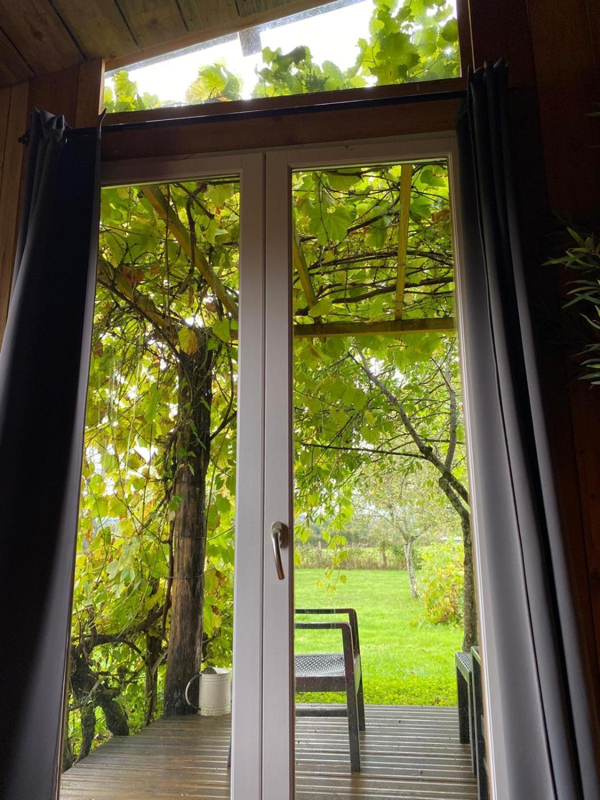 Les feuilles jaunes Chantenay-Saint-Imbert Extérieur photo